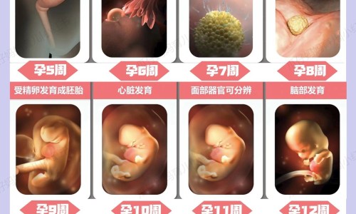 宝宝身上起小紫点网 :分享宝宝身上起风团疹怎么办-宝宝身上起小水泡的疙瘩知识